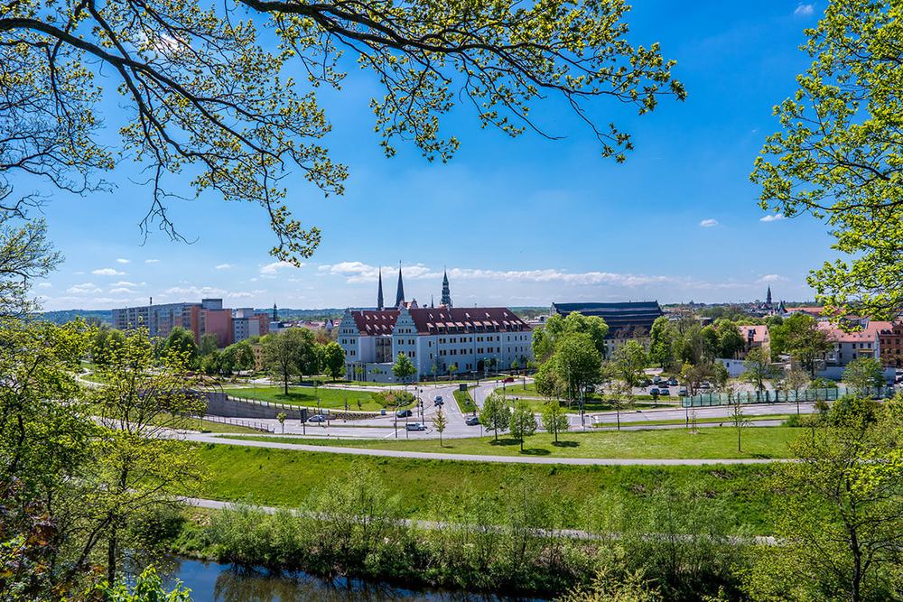 Blick auf Zwickau